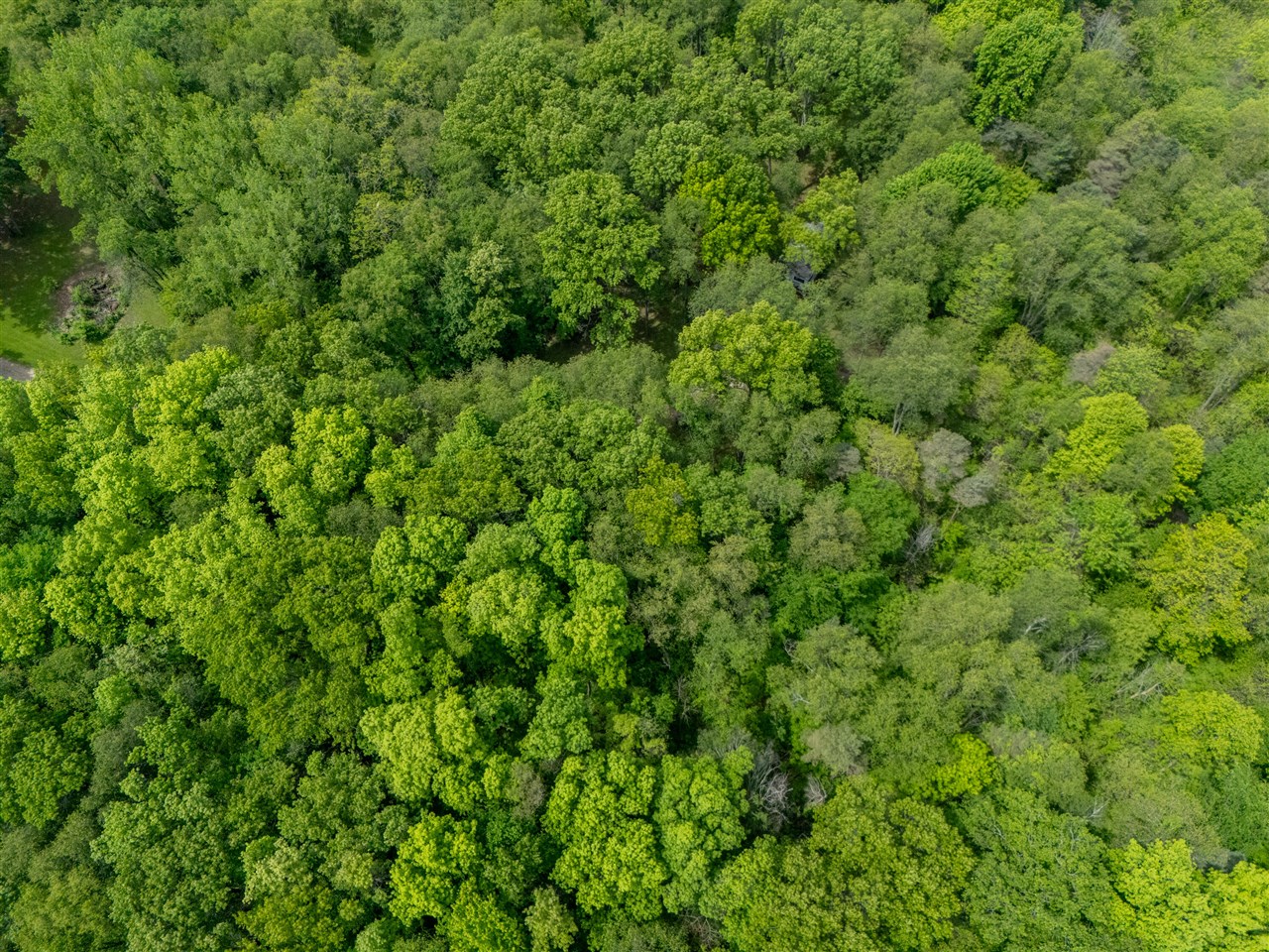4511 Waldorf Road Delton, MI 49046 - Photo 21 of 30