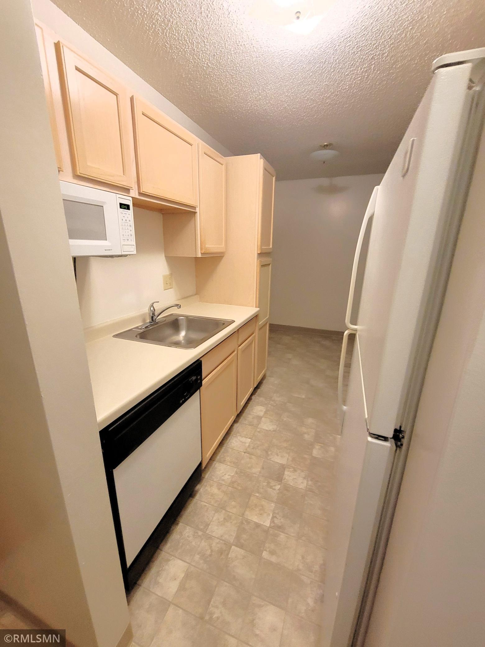 122 Spring Street, Unit 303 River Falls, WI 54022 - Photo 5 of 13