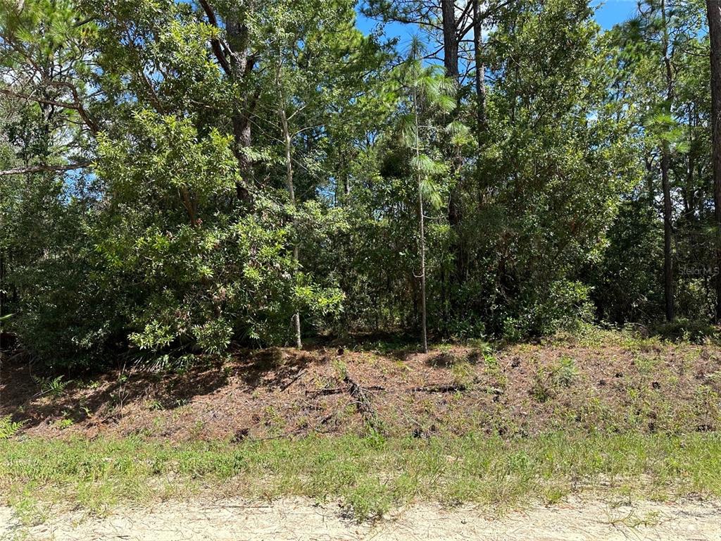 0 Southwest 80th Street Dunnellon, FL 34432 - Photo 1 of 1 a view of a yard covered in snow