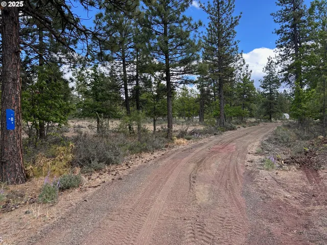 a view of a dirt road with trees