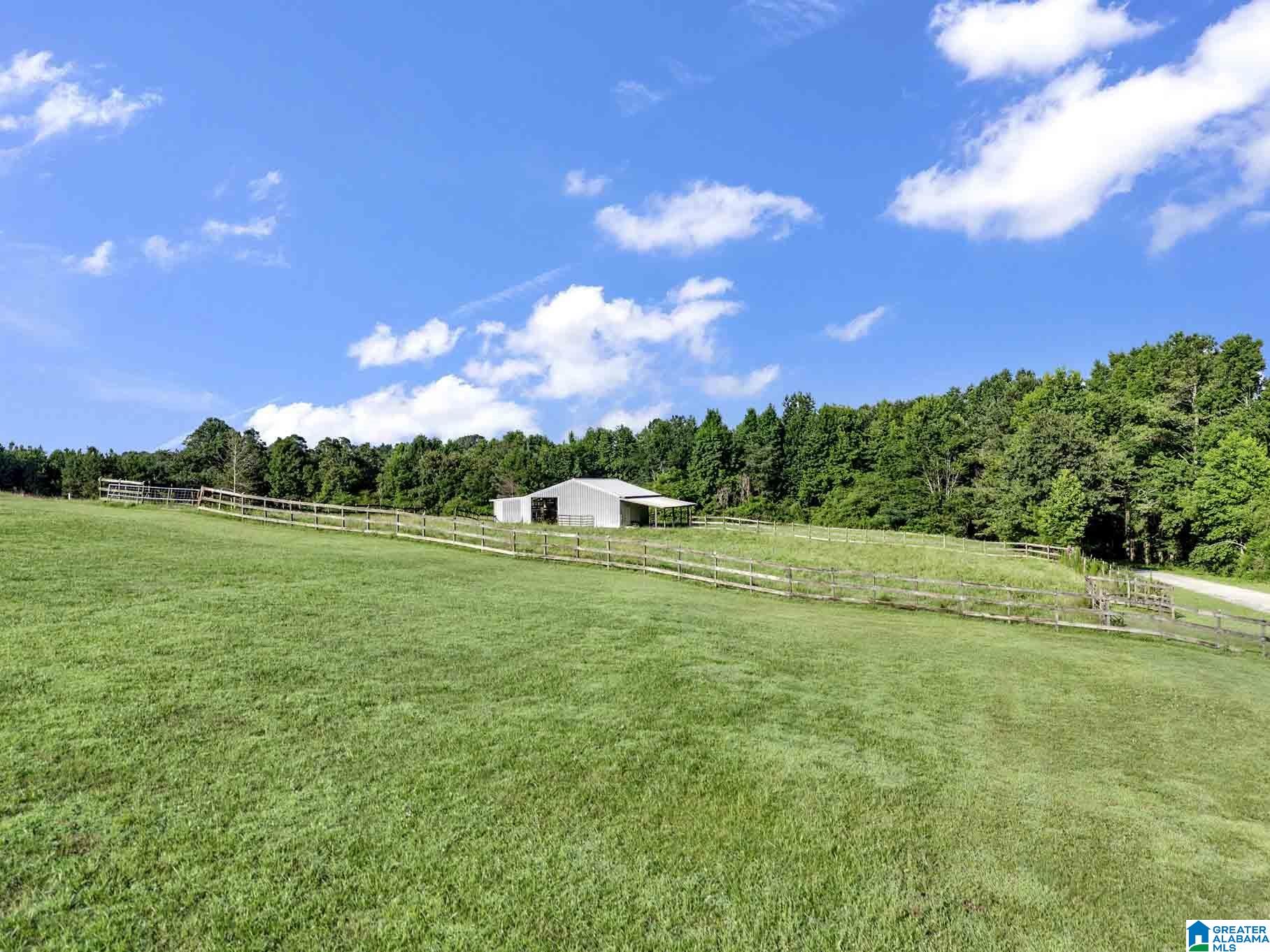 1604 County Road 80 Addison, AL 35540 - Photo 47 of 56