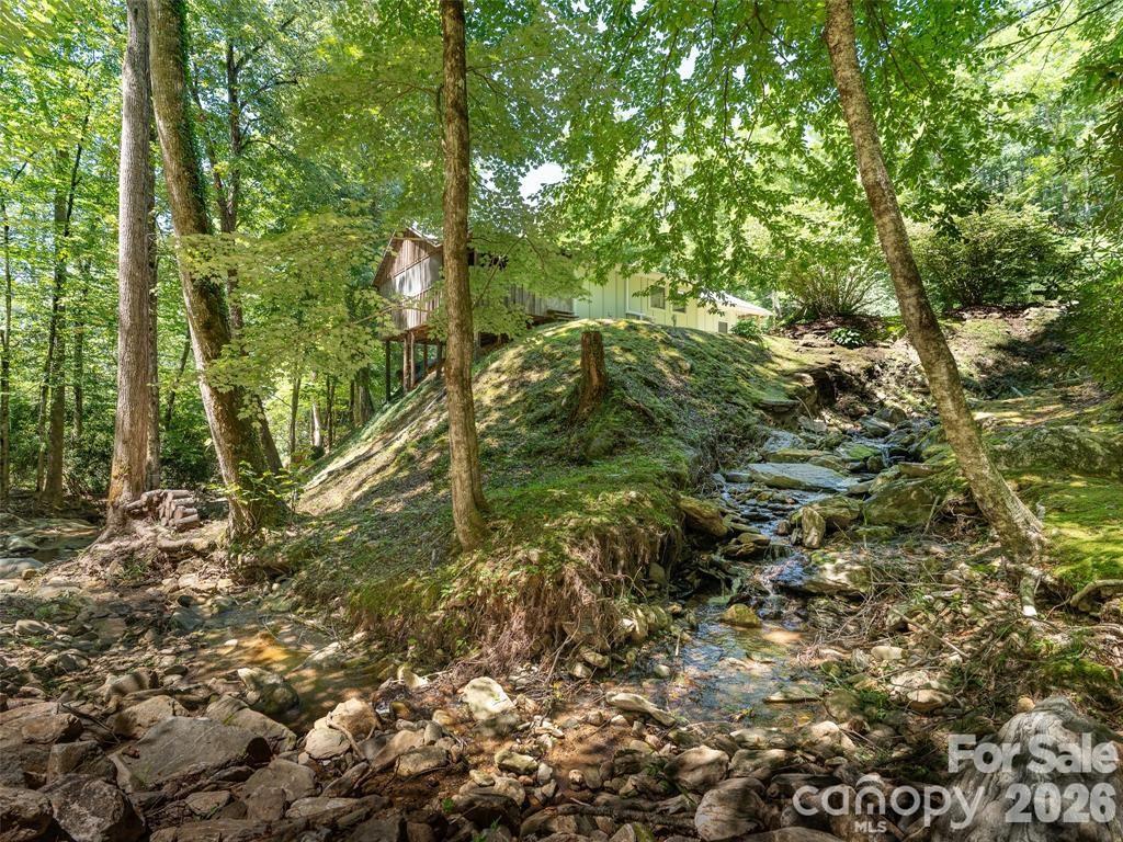 347 Blackberry Inn Road Weaverville, NC 28787 - Photo 30 of 48