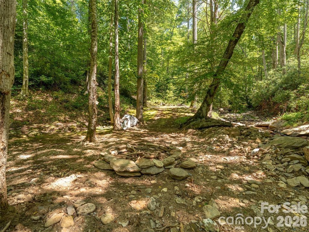 347 Blackberry Inn Road Weaverville, NC 28787 - Photo 31 of 48