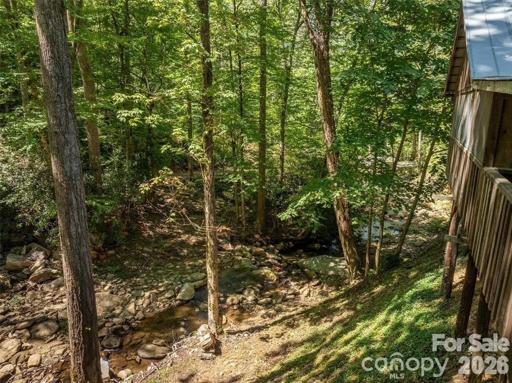 347 Blackberry Inn Road Weaverville, NC 28787 - Photo 35 of 48