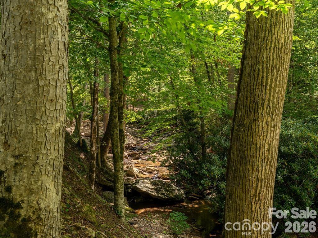 347 Blackberry Inn Road Weaverville, NC 28787 - Photo 41 of 48