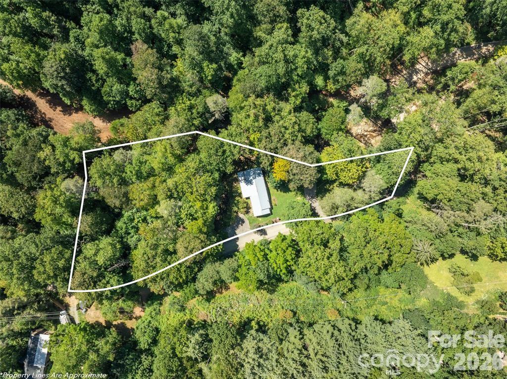 347 Blackberry Inn Road Weaverville, NC 28787 - Photo 6 of 48