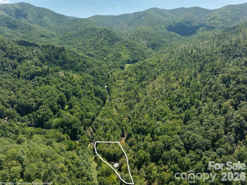 347 Blackberry Inn Road Weaverville, NC 28787 - Photo 7 of 48