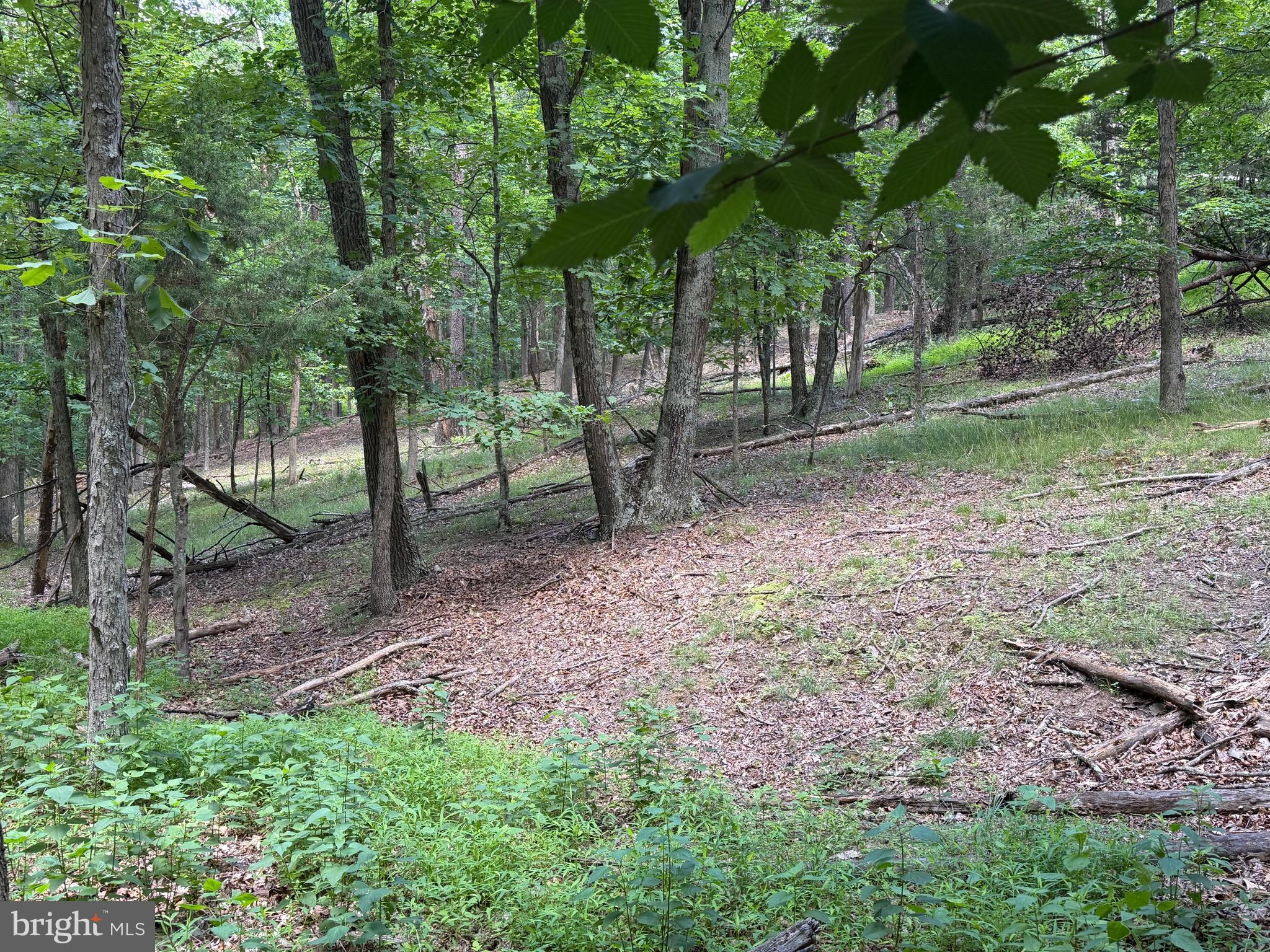 0 Headsville Road Keyser, WV 26726 - Photo 18 of 24