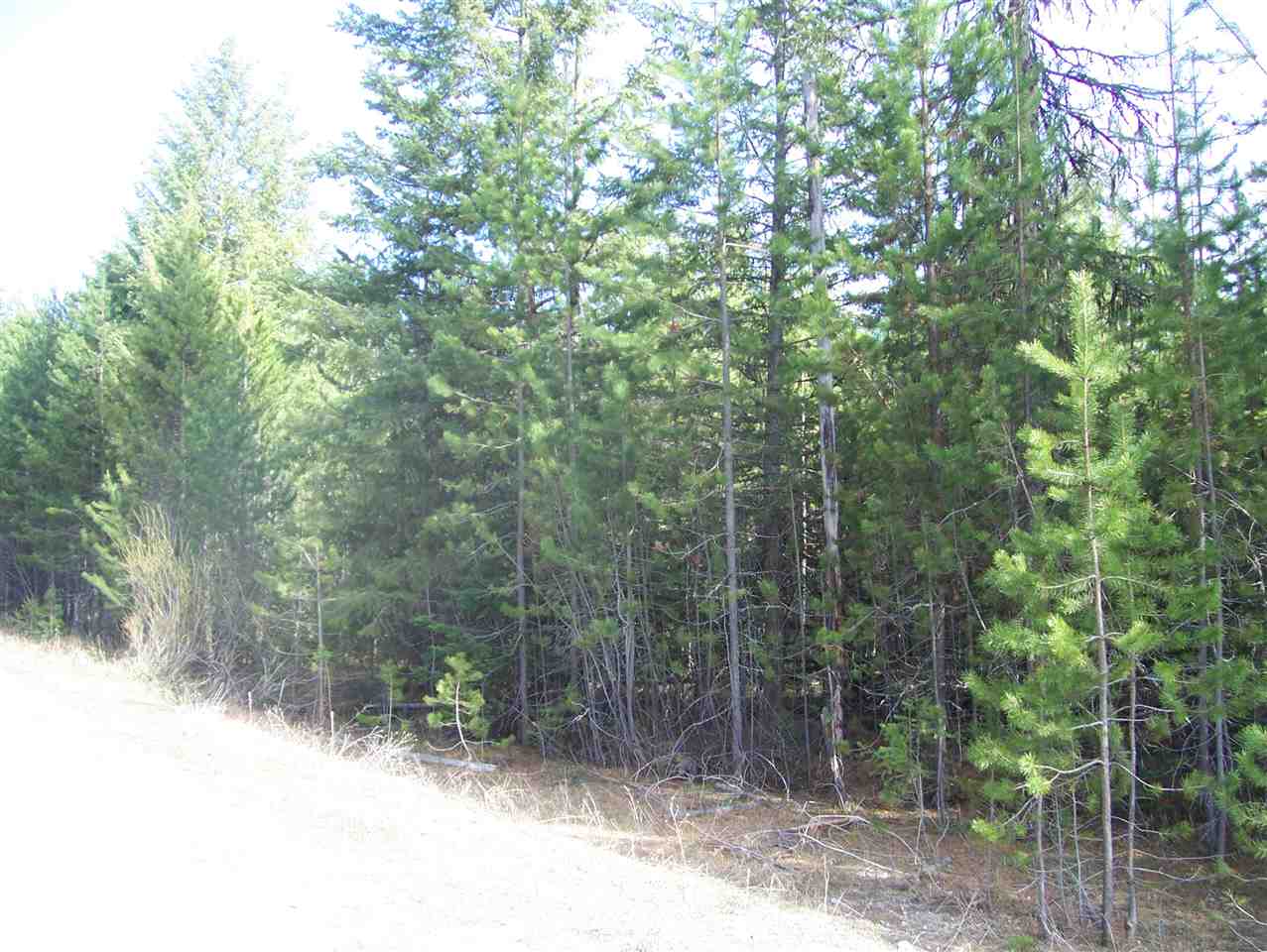 1 Roberts Road Newport, WA 99156 - Photo 1 of 13