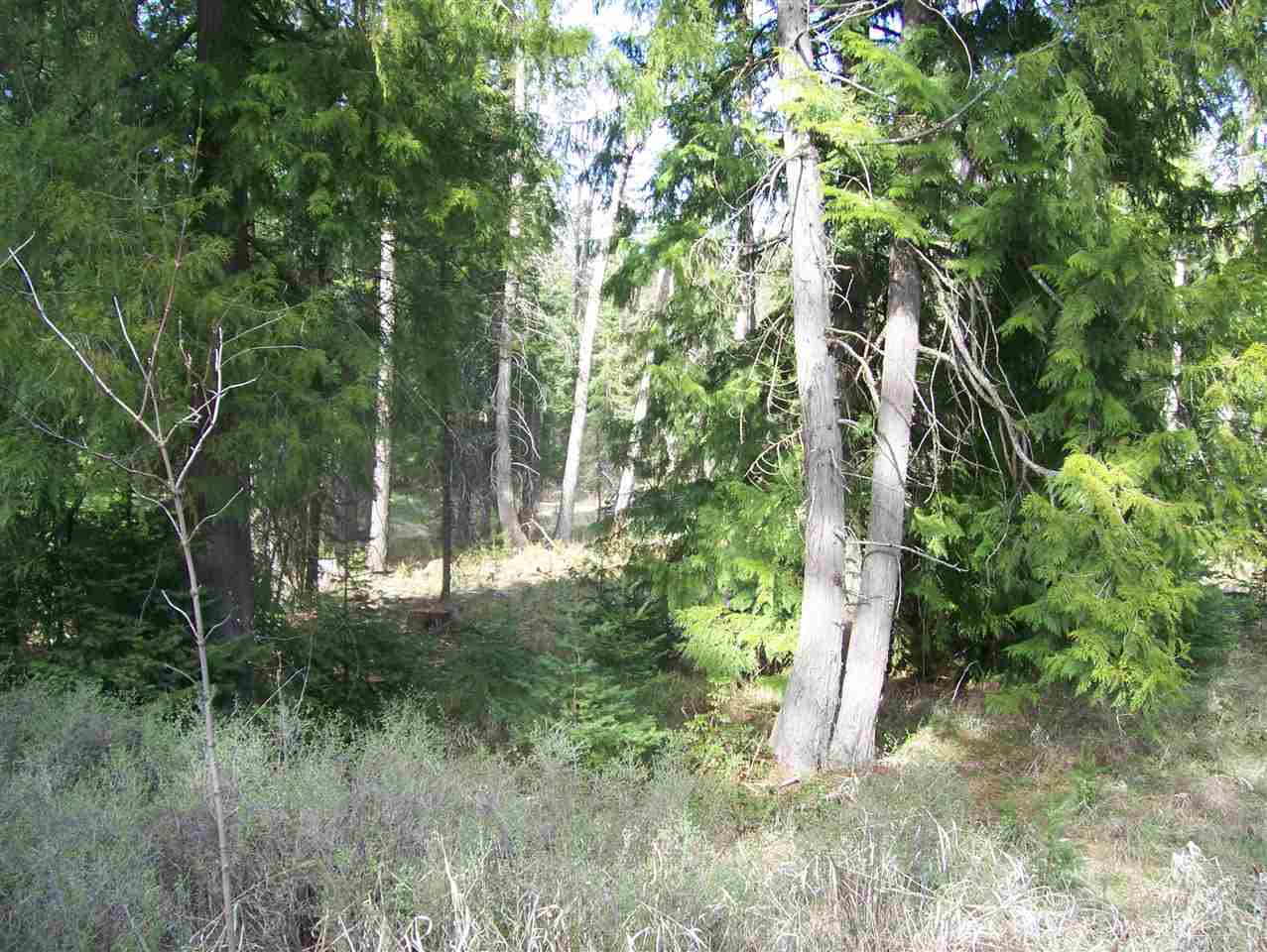 1 Roberts Road Newport, WA 99156 - Photo 13 of 13
