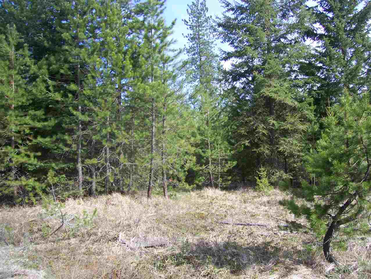 1 Roberts Road Newport, WA 99156 - Photo 4 of 13