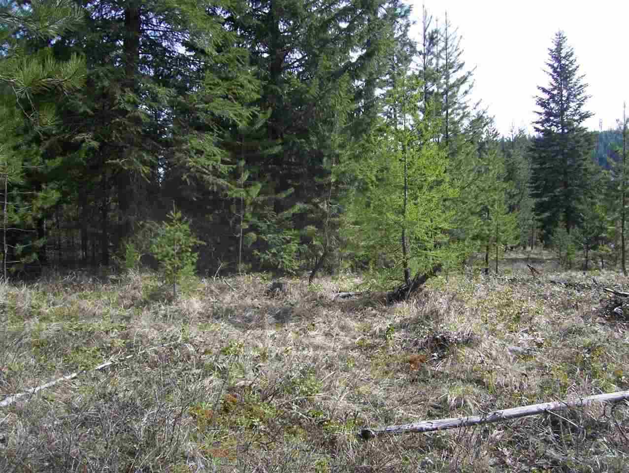 1 Roberts Road Newport, WA 99156 - Photo 5 of 13