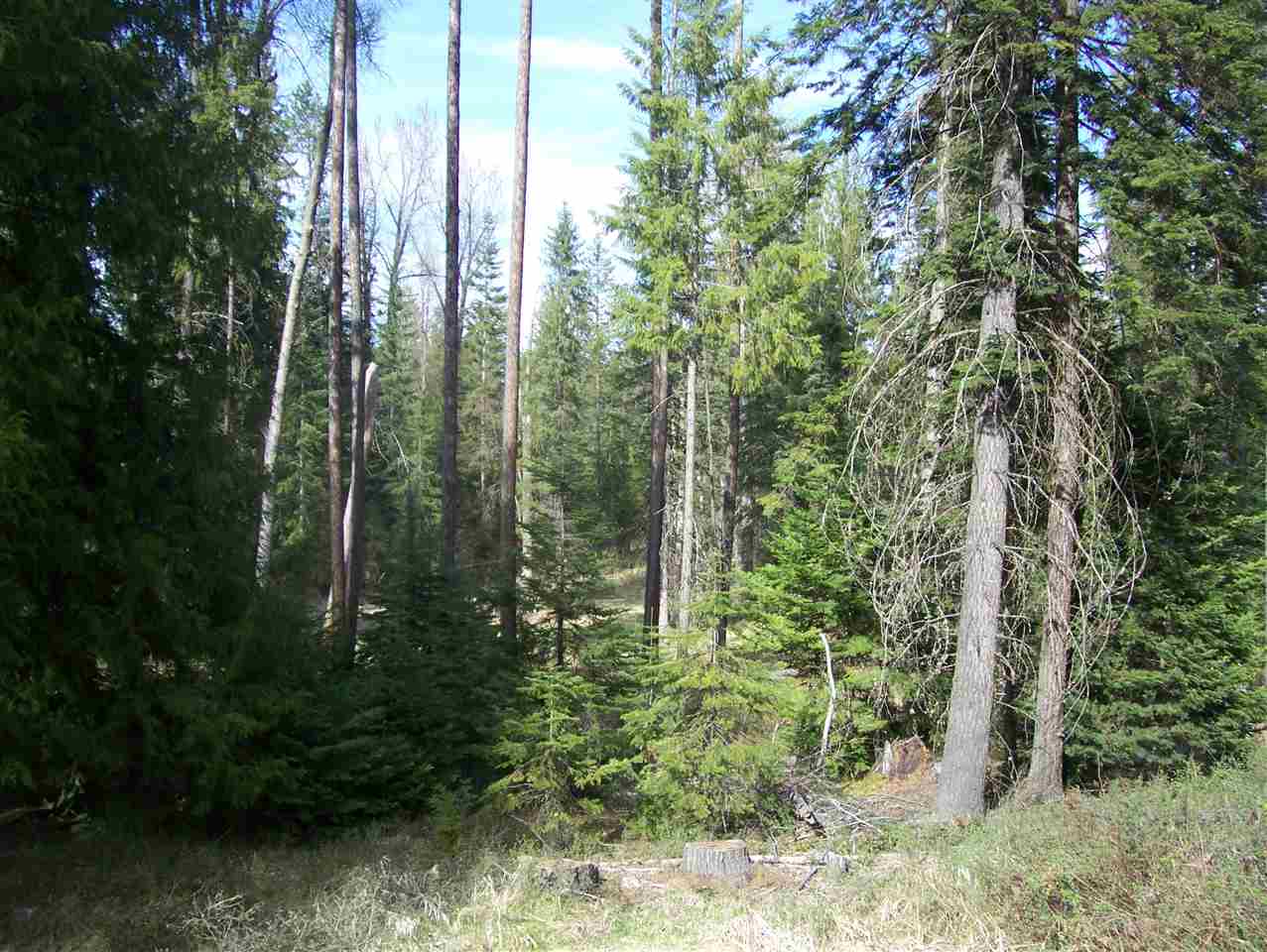 1 Roberts Road Newport, WA 99156 - Photo 7 of 13