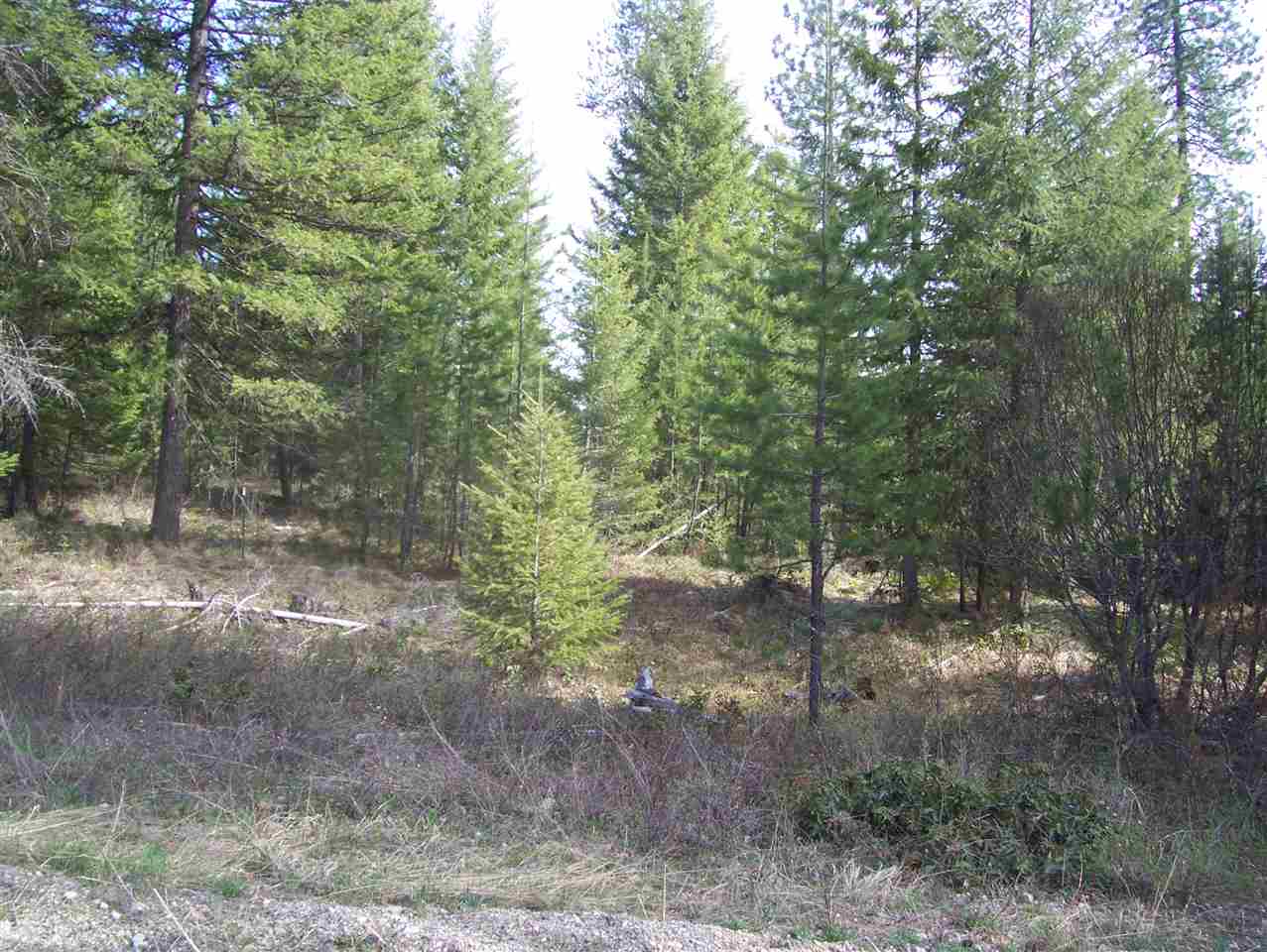 1 Roberts Road Newport, WA 99156 - Photo 8 of 13