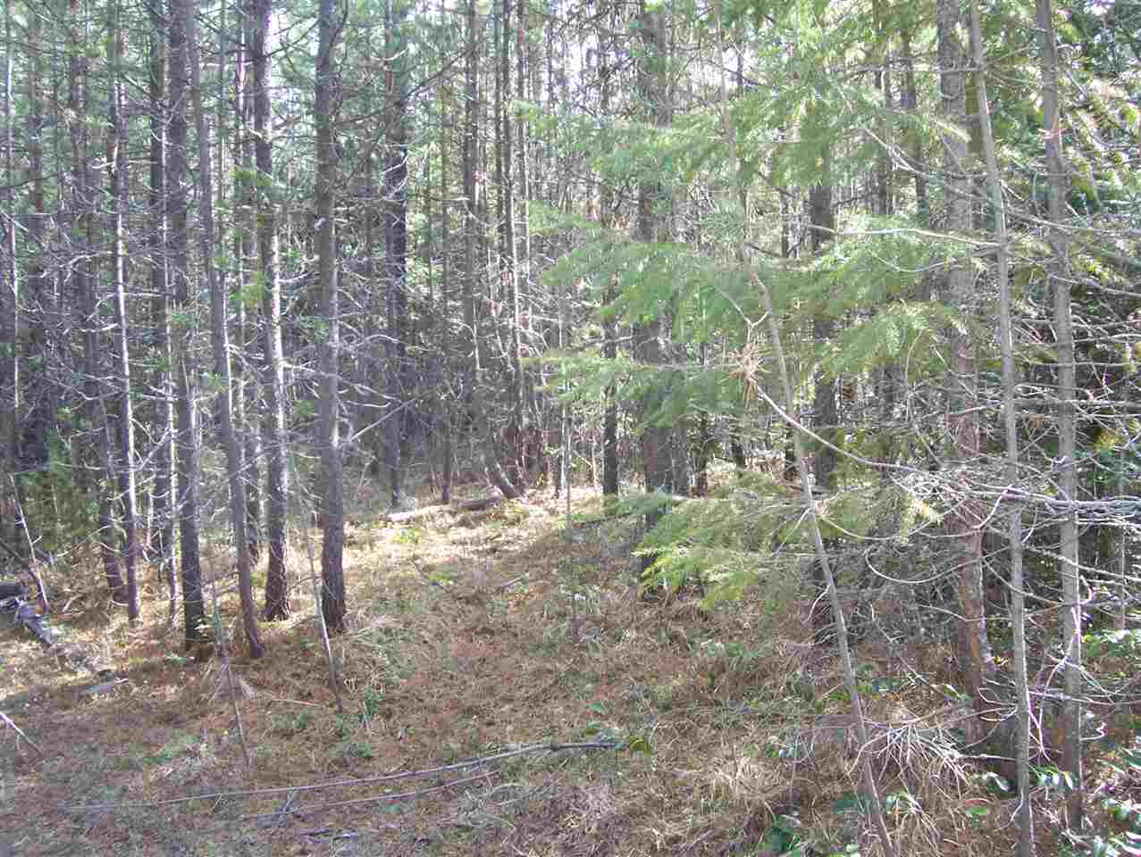 1 Roberts Road Newport, WA 99156 - Photo 10 of 13