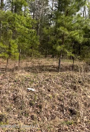 $135,000 | Lot 5 Matthews Drive, Byhalia, MS 38611