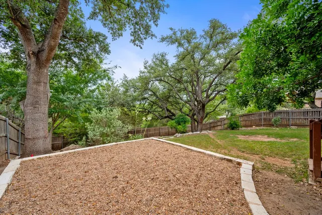 a view of a backyard with large trees