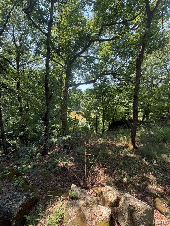 9007 Crossman Road Bonne Terre, MO 63628 - Photo 50 of 55 Gallery Image 50