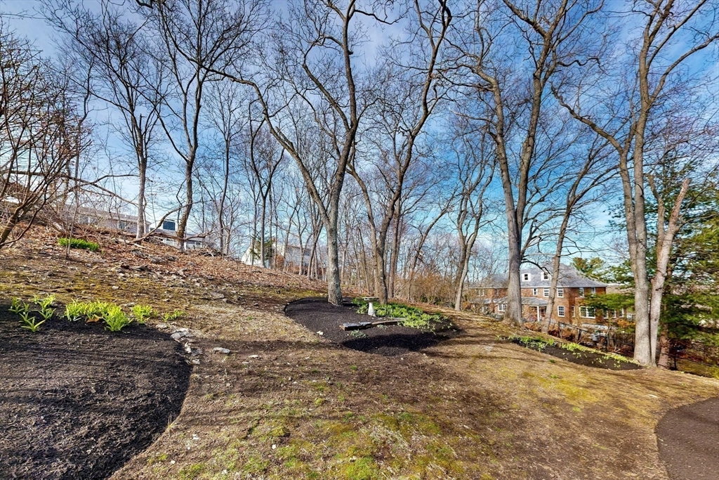 1 Hodge Road Arlington, MA 02474 - Photo 37 of 39 a view of a yard with a tree