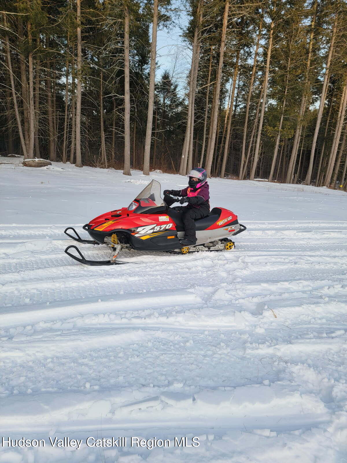 89 Zinno Road Ashland, NY 12496 - Photo 21 of 37 a view of a small ground