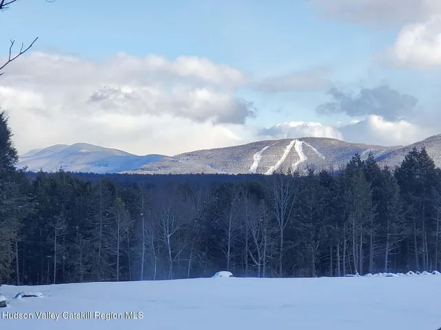 a view of backyard with wooden fence