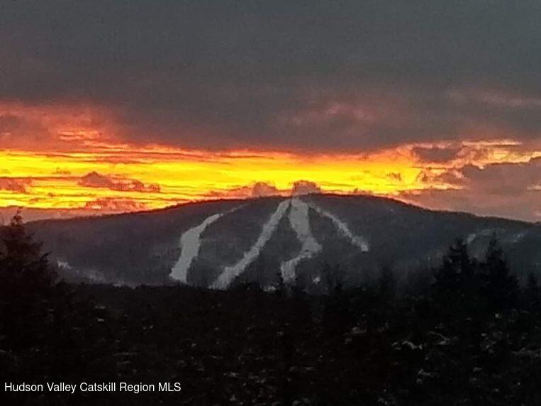 89 Zinno Road Ashland, NY 12496 - Photo 8 of 37 a view of an ocean and mountain