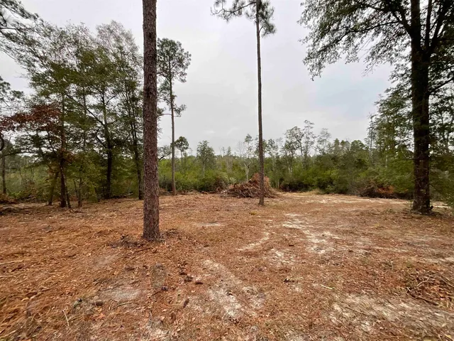 $68,400 | Vacant Joshua Road, Marianna, FL 32448