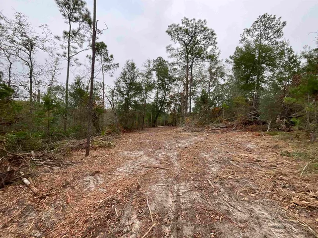 $68,400 | Vacant Joshua Road, Marianna, FL 32448