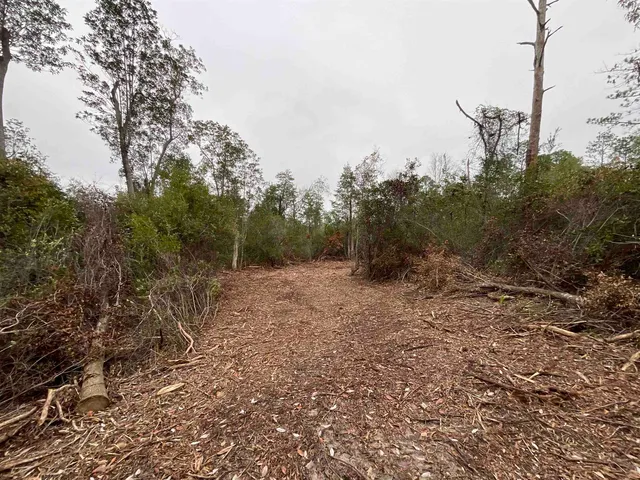 $68,400 | Vacant Joshua Road, Marianna, FL 32448