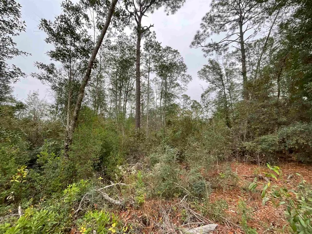$68,400 | Vacant Joshua Road, Marianna, FL 32448