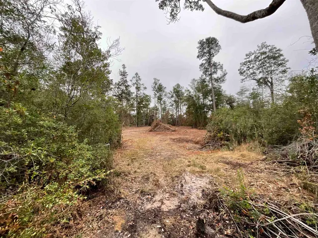 $68,400 | Vacant Joshua Road, Marianna, FL 32448