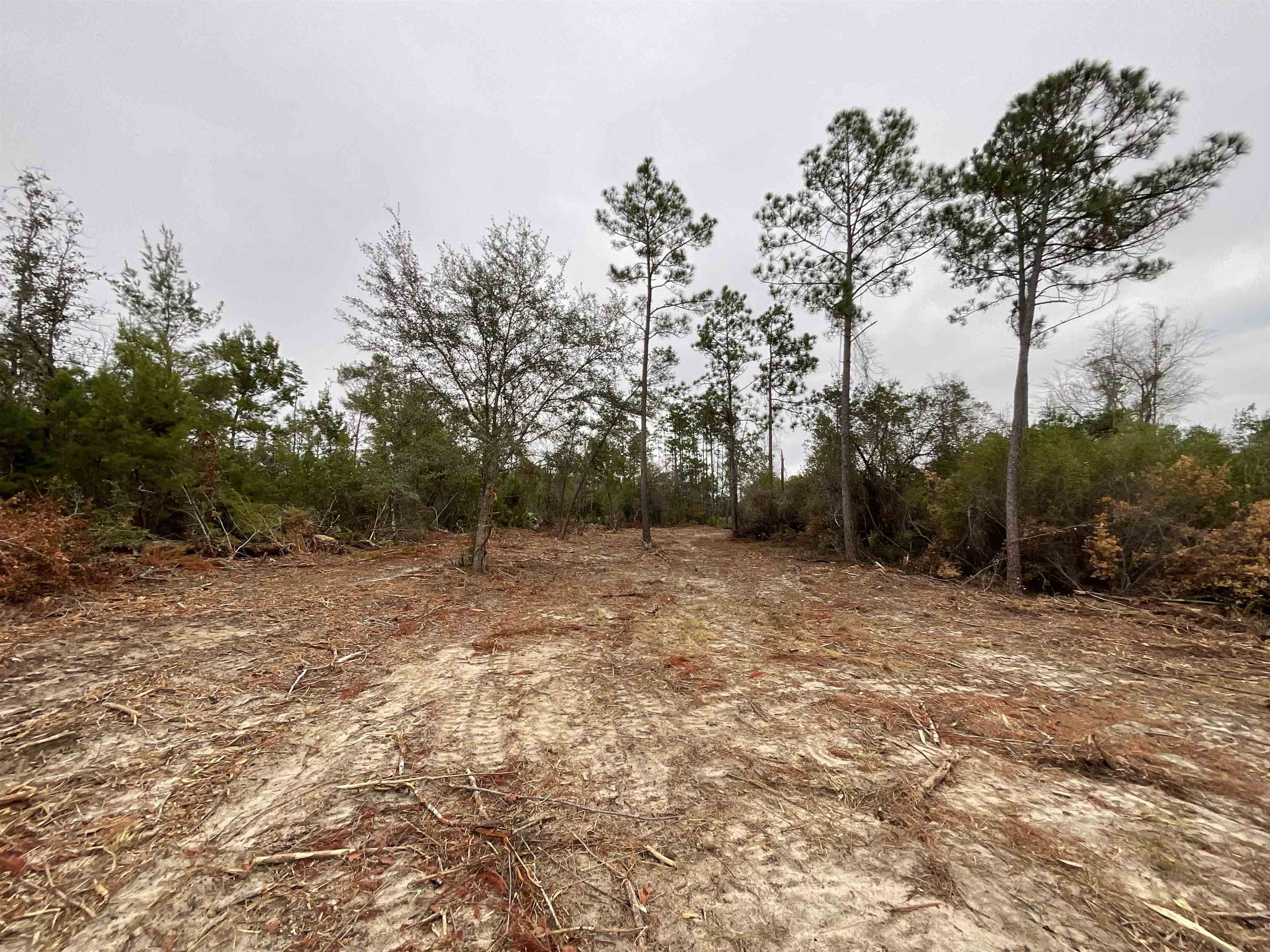 Vacant Joshua Road Marianna, FL 32448 - Photo 15 of 51 Gallery Image 15