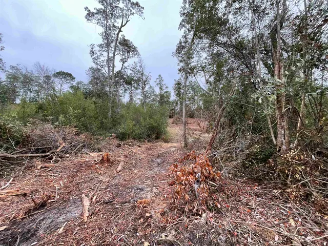 $68,400 | Vacant Joshua Road, Marianna, FL 32448