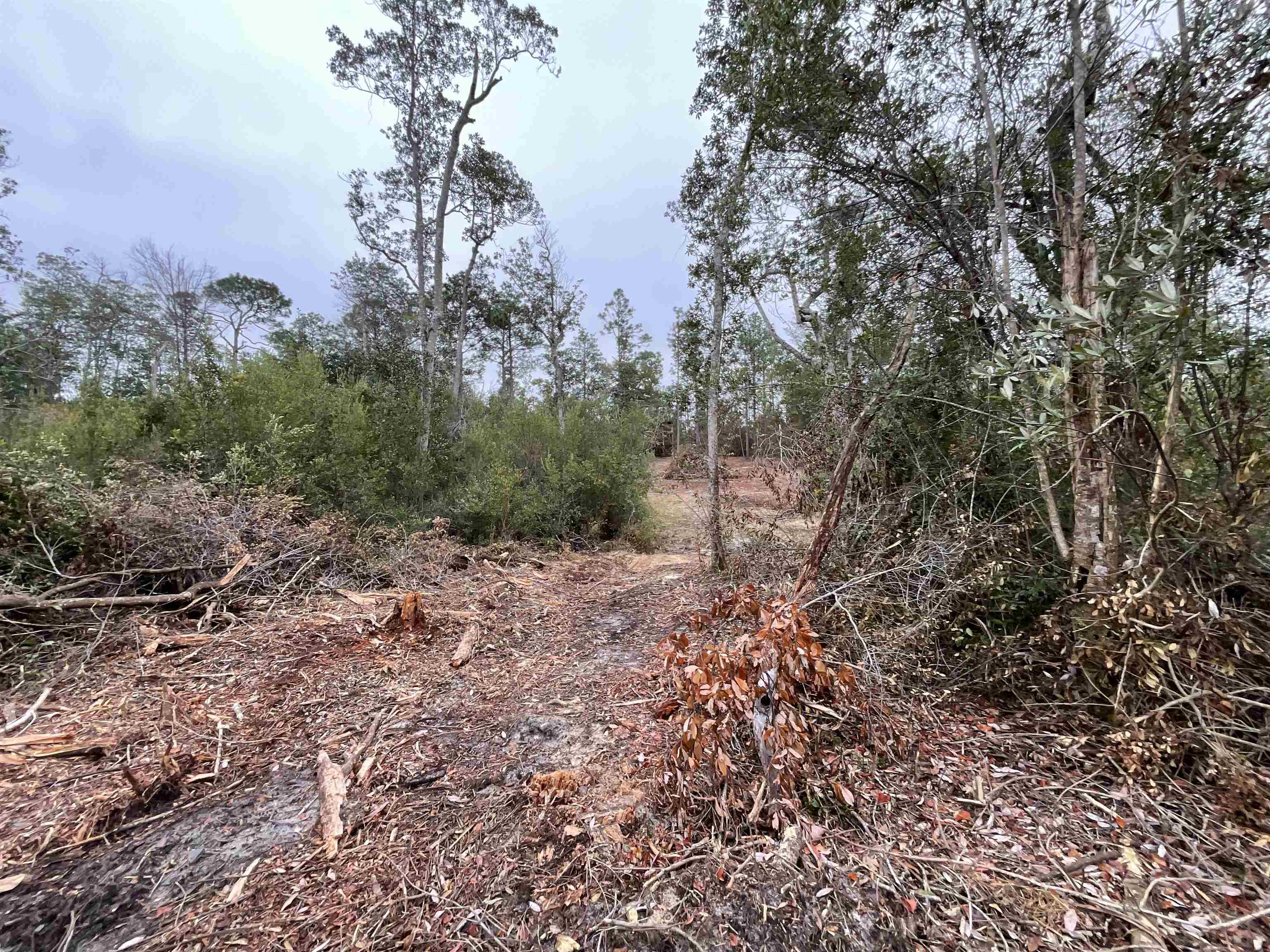 Vacant Joshua Road Marianna, FL 32448 - Photo 15 of 51
