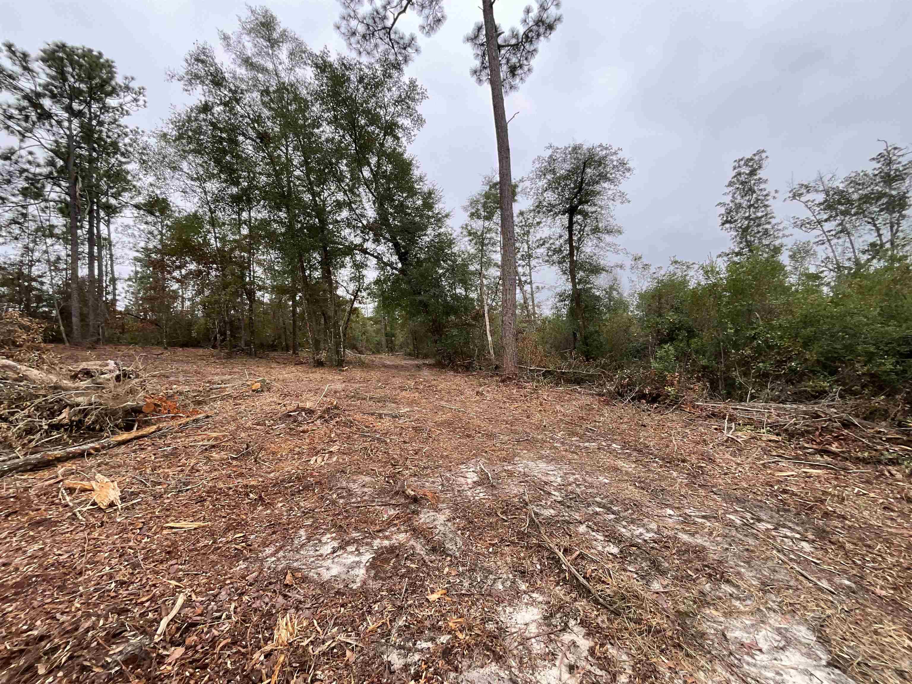 Vacant Joshua Road Marianna, FL 32448 - Photo 16 of 51 Gallery Image 16