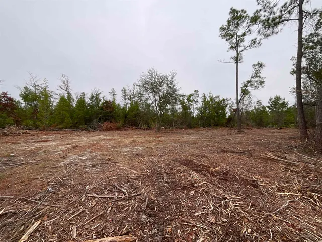 $68,400 | Vacant Joshua Road, Marianna, FL 32448