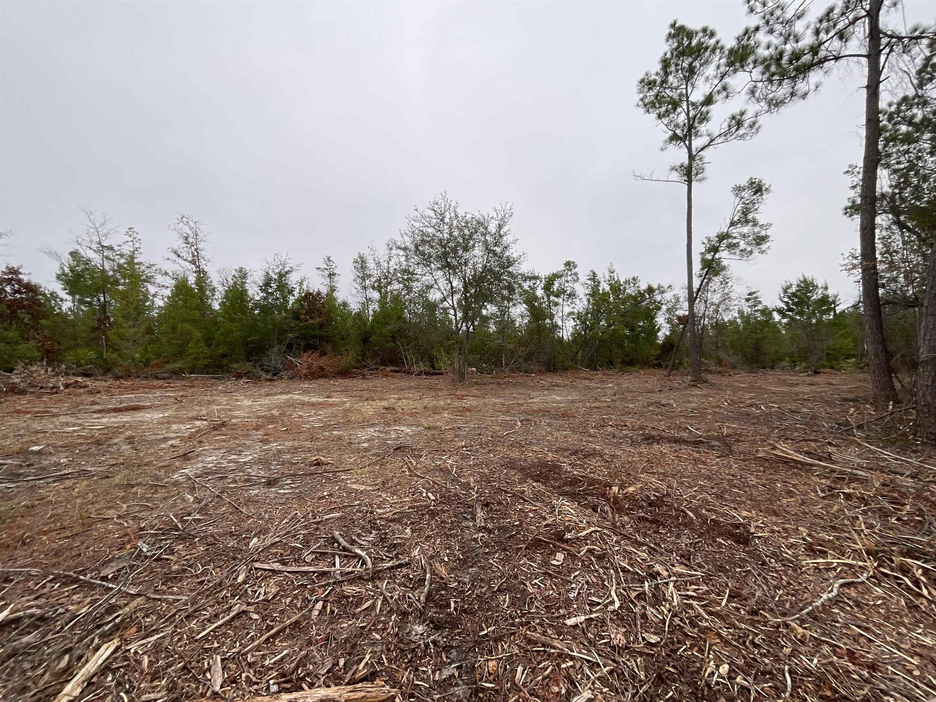 Vacant Joshua Road Marianna, FL 32448 - Photo 16 of 51