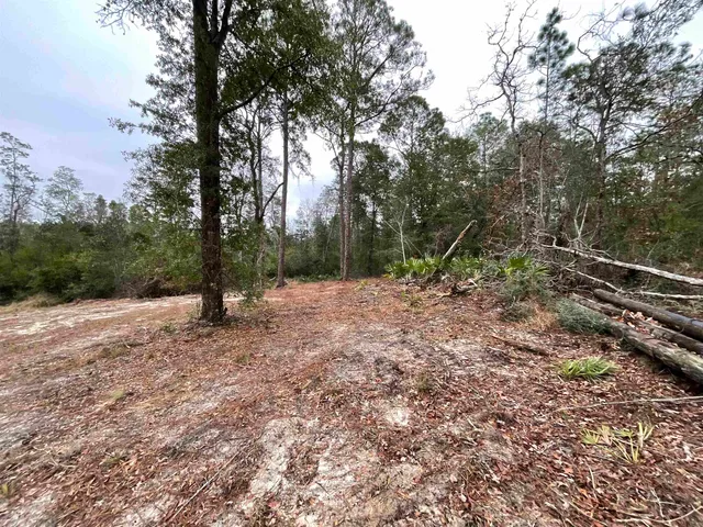$68,400 | Vacant Joshua Road, Marianna, FL 32448