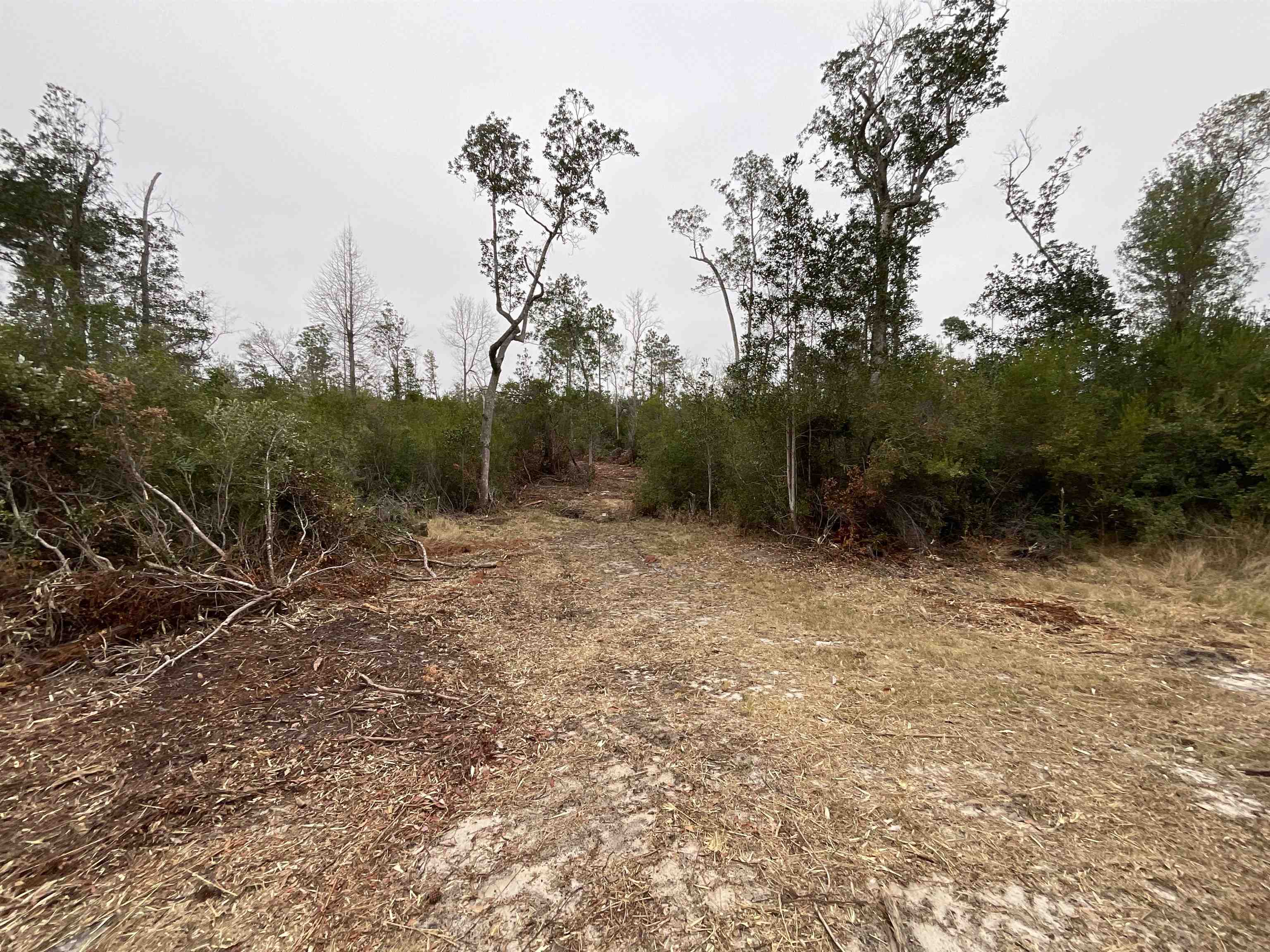 Vacant Joshua Road Marianna, FL 32448 - Photo 17 of 51 Gallery Image 17