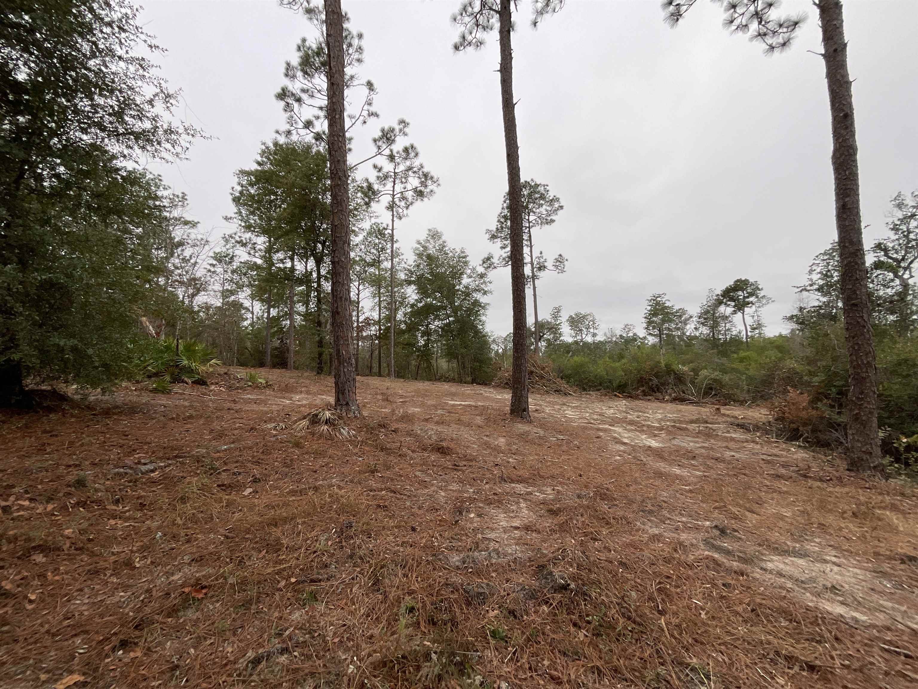 Vacant Joshua Road Marianna, FL 32448 - Photo 18 of 51 Gallery Image 18