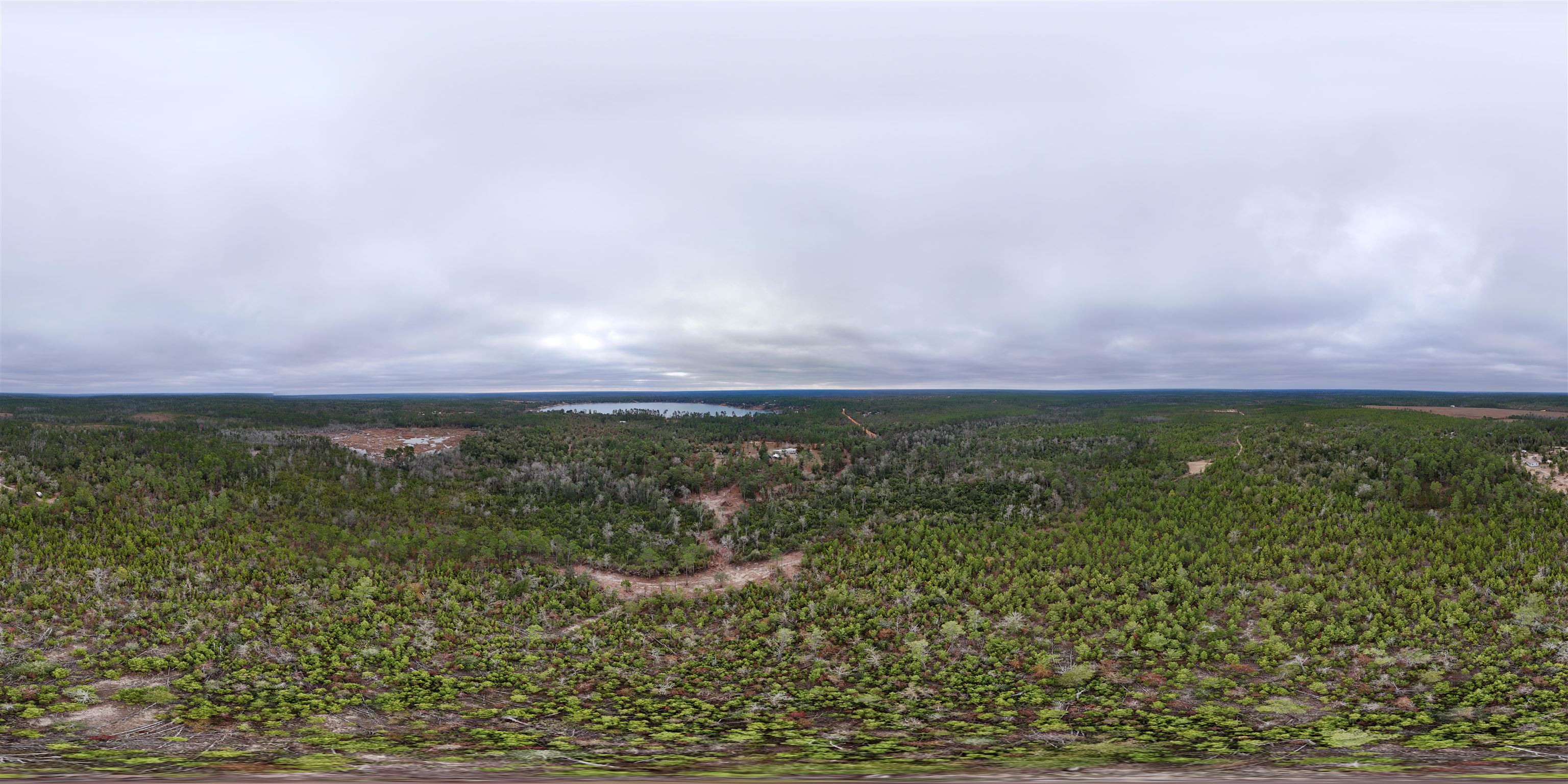 Vacant Joshua Road Marianna, FL 32448 - Photo 20 of 51