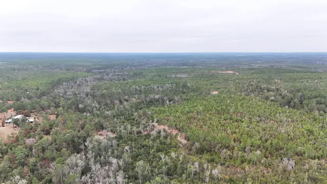 $68,400 | Vacant Joshua Road, Marianna, FL 32448