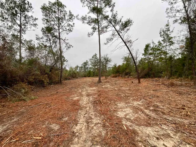 $68,400 | Vacant Joshua Road, Marianna, FL 32448