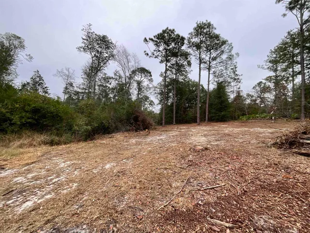 $68,400 | Vacant Joshua Road, Marianna, FL 32448