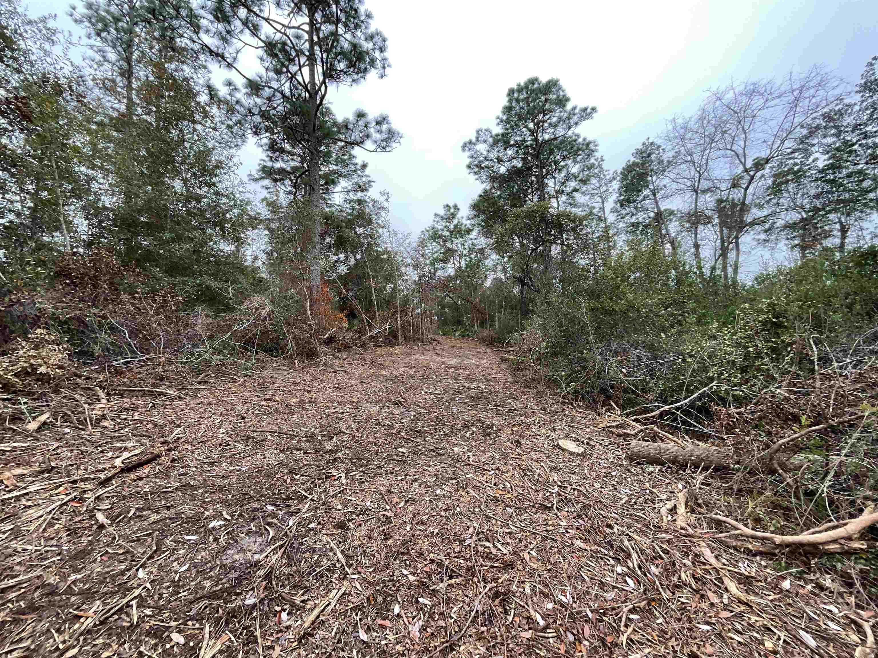 Vacant Joshua Road Marianna, FL 32448 - Photo 25 of 51