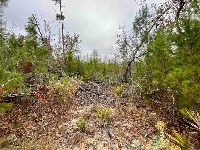 $68,400 | Vacant Joshua Road, Marianna, FL 32448