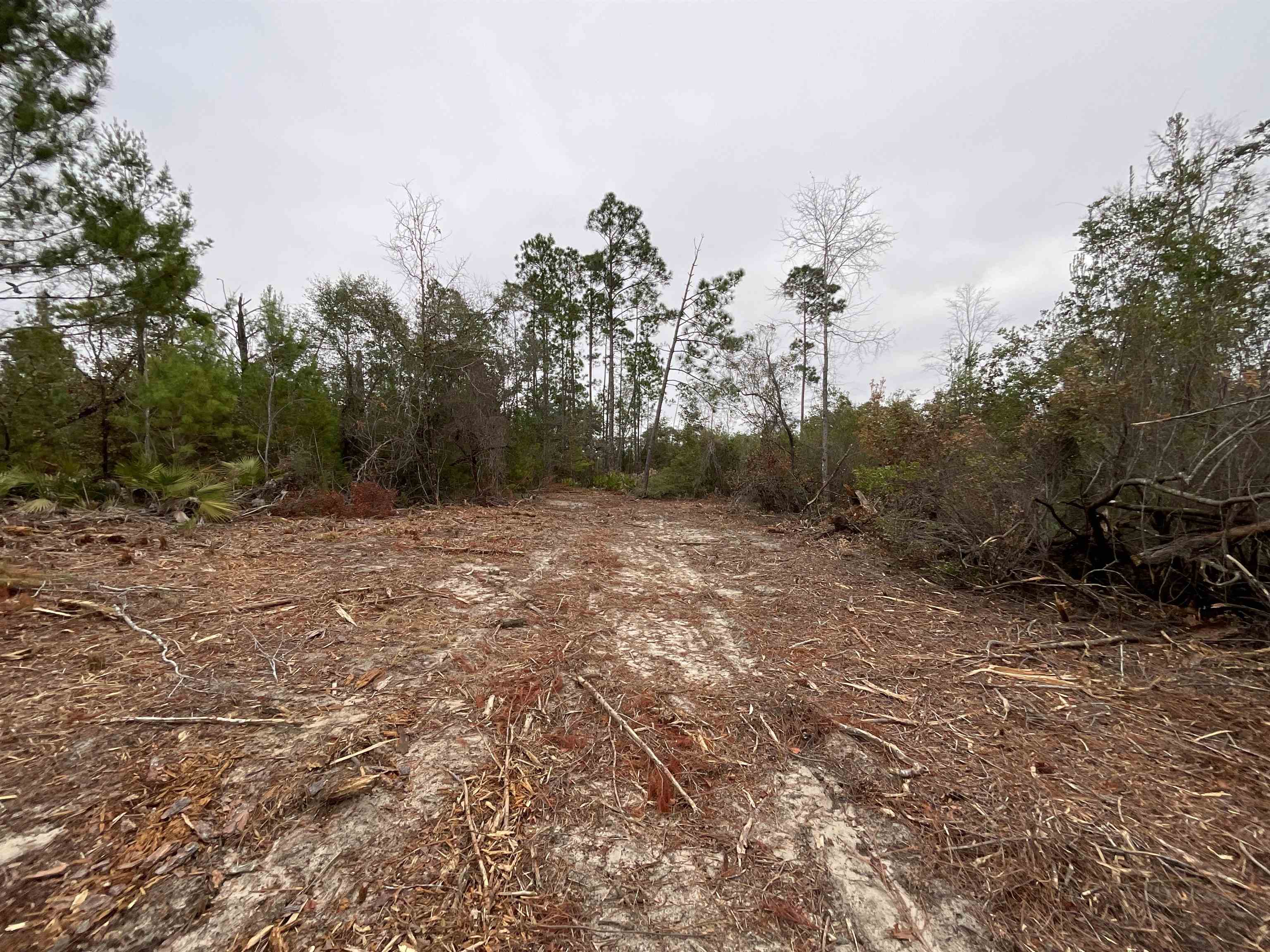 Vacant Joshua Road Marianna, FL 32448 - Photo 26 of 51 Gallery Image 26