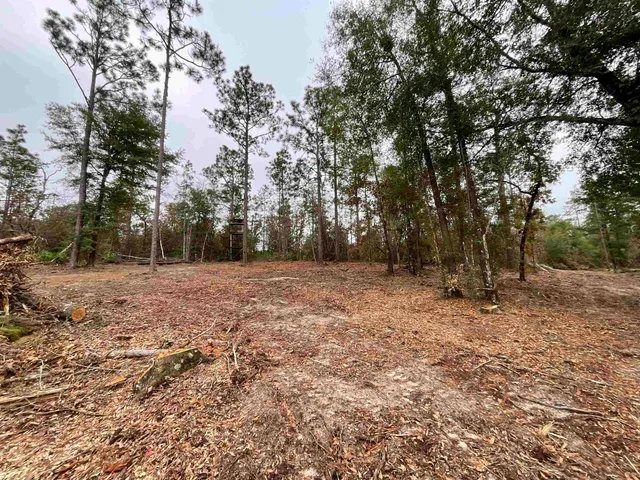 $68,400 | Vacant Joshua Road, Marianna, FL 32448