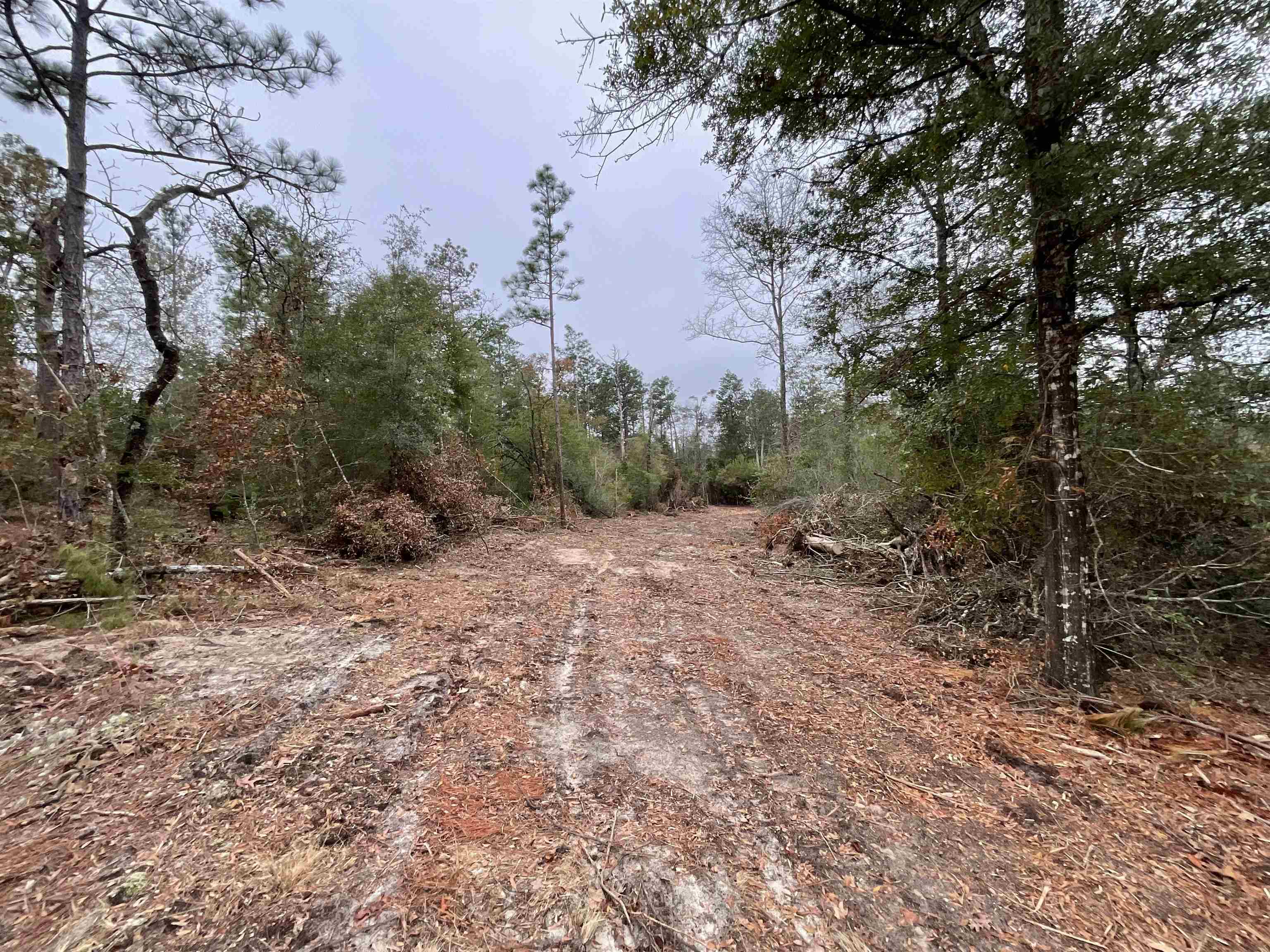 Vacant Joshua Road Marianna, FL 32448 - Photo 29 of 51 Gallery Image 29