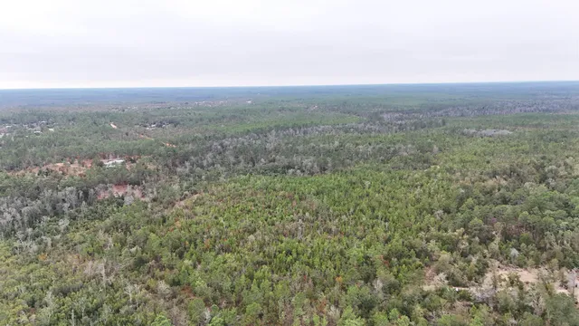 $68,400 | Vacant Joshua Road, Marianna, FL 32448